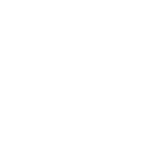 Georgia Technology Authority